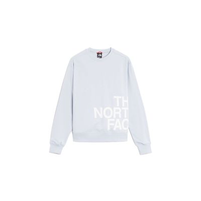 The North Face Blown Up Logo W Sweatshirt - Grau - Hoodie