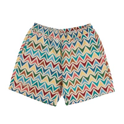 Pleasures Basket Woven Shorts - Multi-color - Kurze Hose